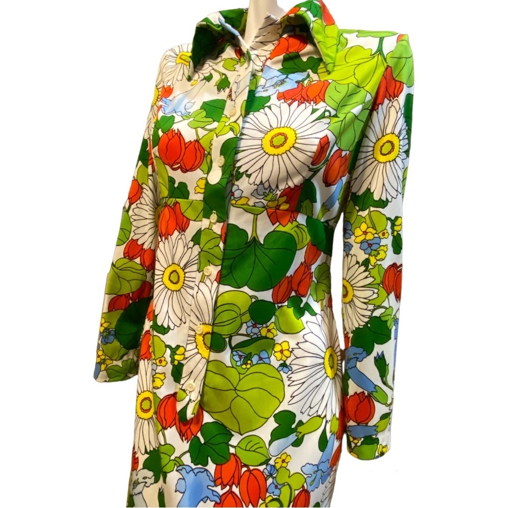 Vintage Anika Mod Flower Power Long Sleeve Maxi Dress Sz M Dagger Collar